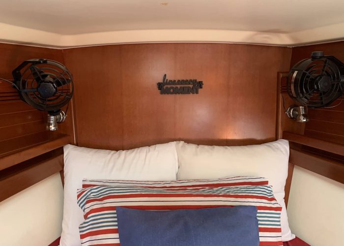 A97A7027-52D3-491E-895A-2C1E1D08D23F