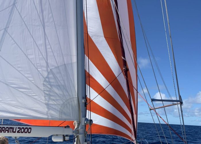 IMG_0936 jean eric ziegler