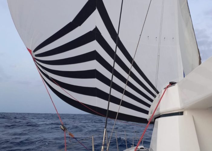 WhatsApp Image 2022-11-08 at 15.57.41